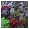 Kung Fu fighting dance